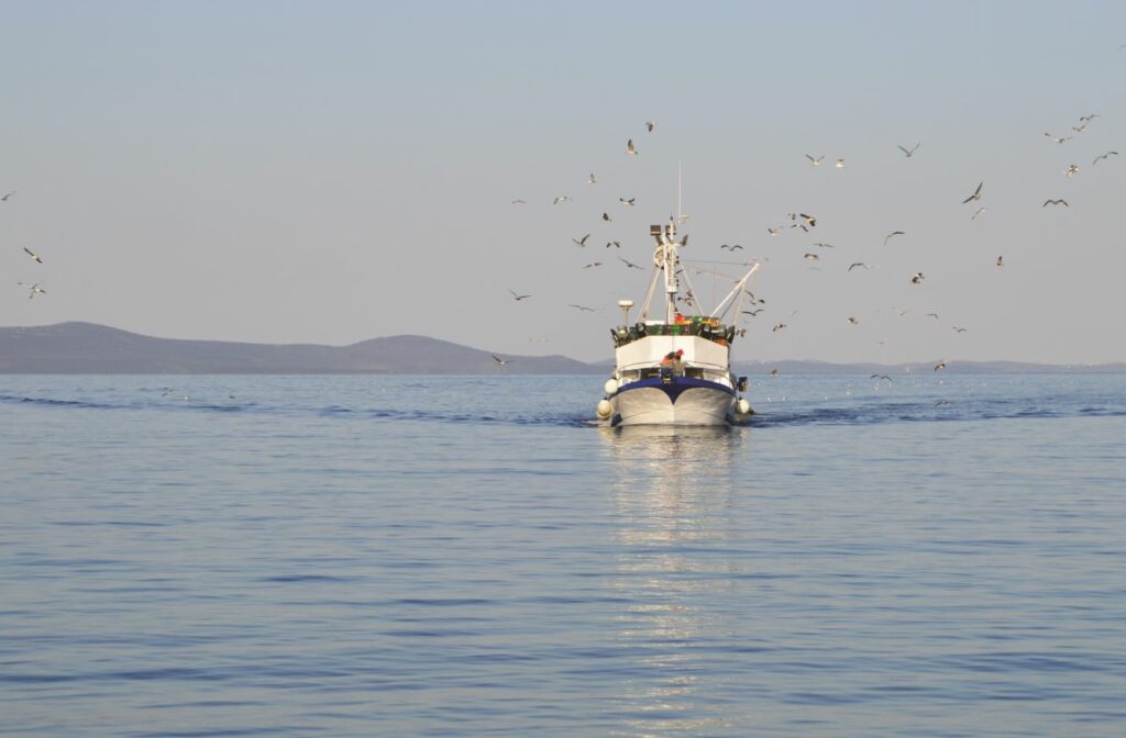 Cohabitation en Mer : Travaux en mer et Pêche Professionnelle en Harmonie